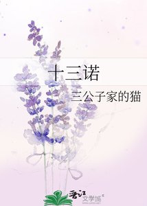 十三诺