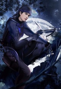 騎士征程燃文,騎士征程燃文